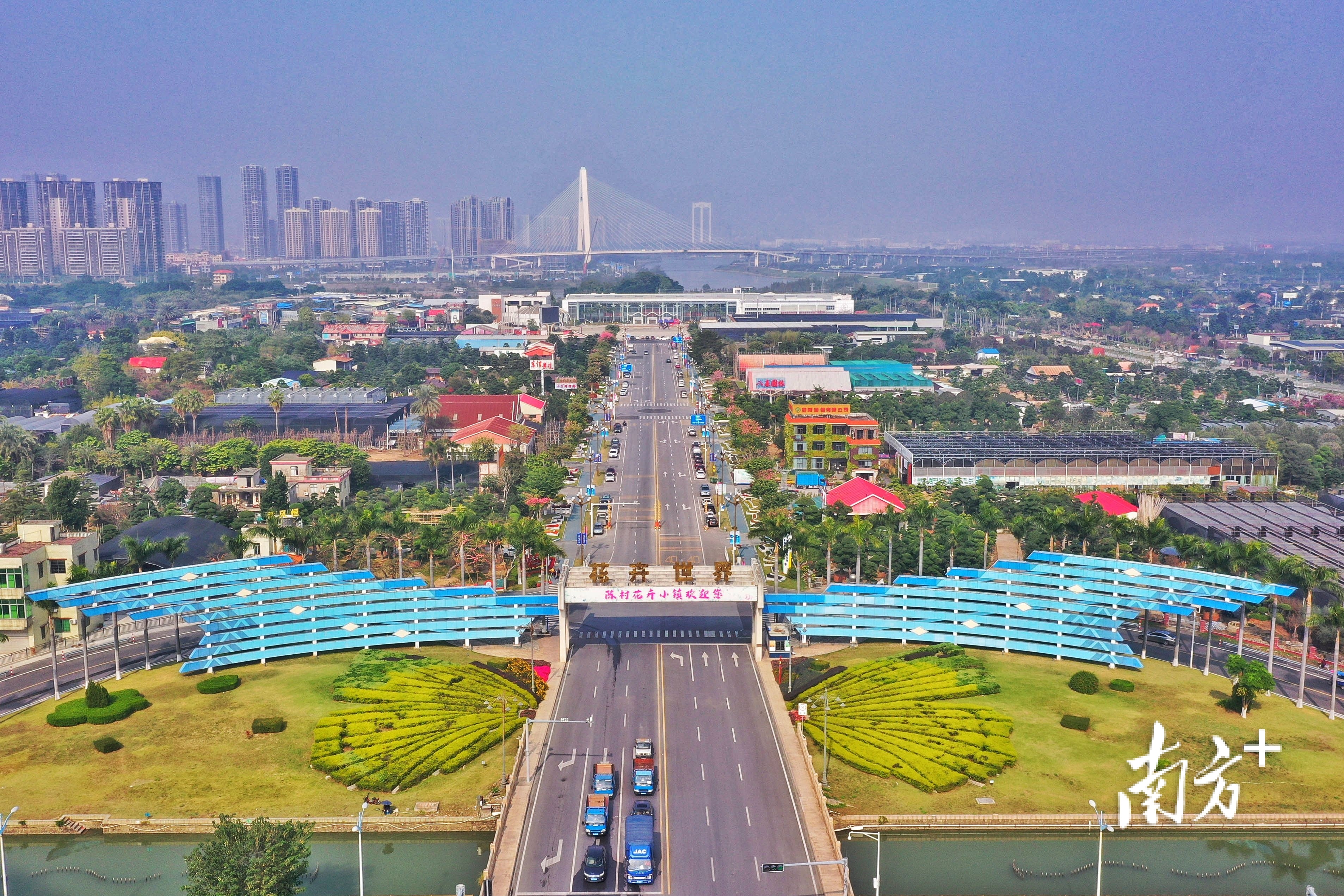 陈村。南方日报记者 戴嘉信 摄