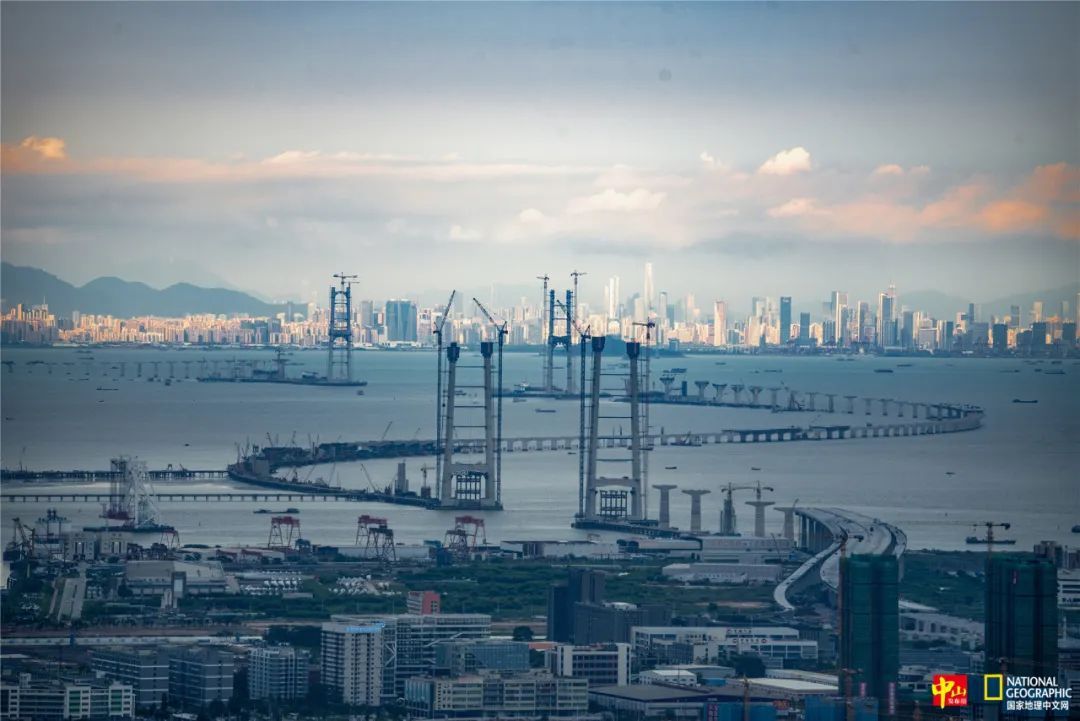 傍晚的深中通道。