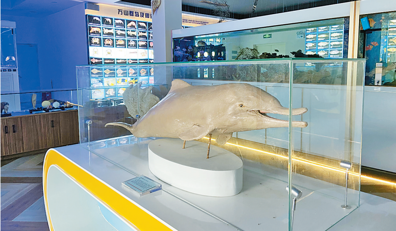分为五大展区,包括万山群岛展板解读区,万山群岛海洋生物标本展示区