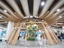 从“踩着单车来”到“坐着地铁来”，湾区的人才为何青睐北滘？