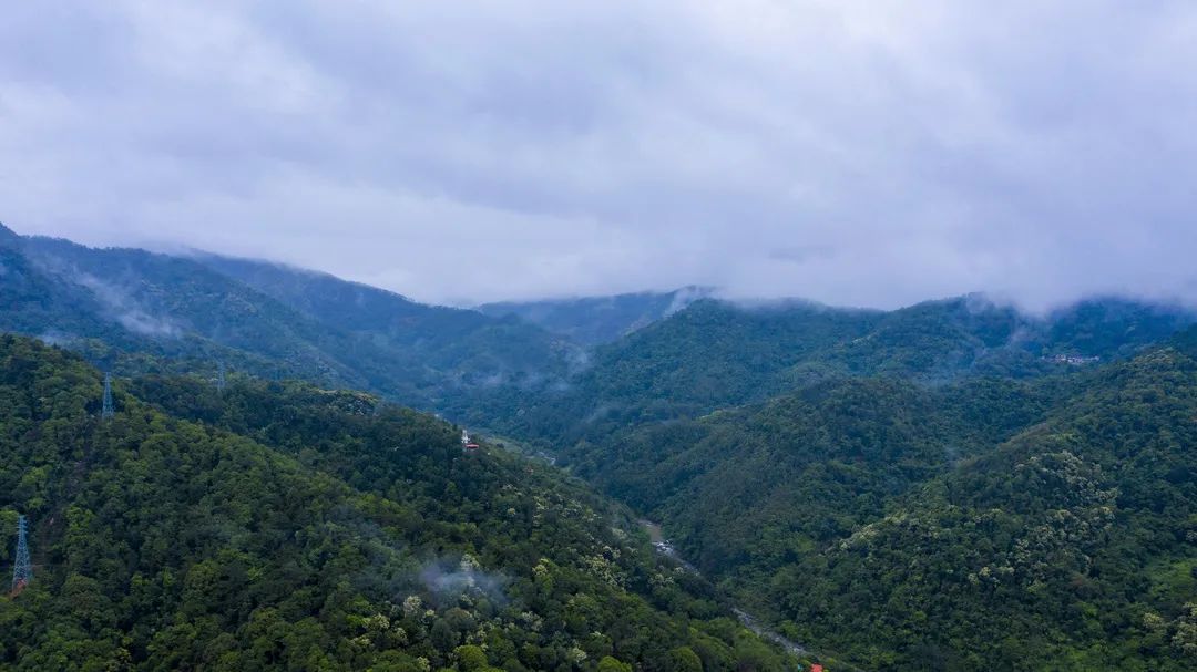 威整镇。陈绍升 摄  