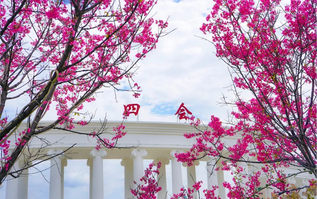 四会市城管局 供图