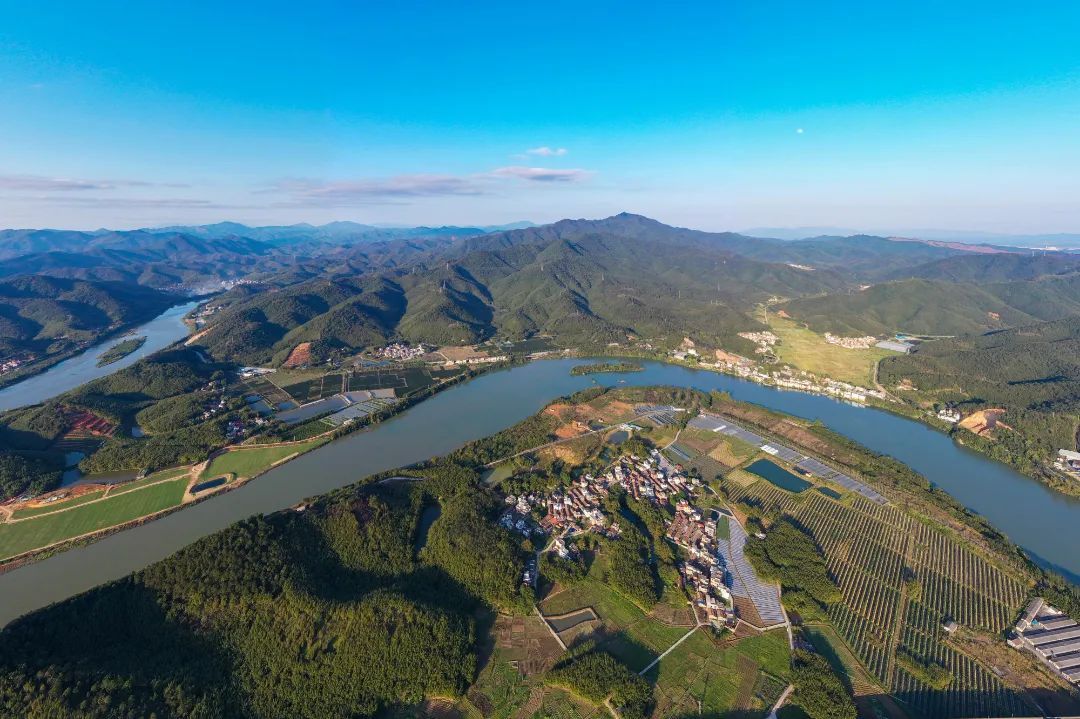 黄田镇“梅兰竹桔”田园综合体。 