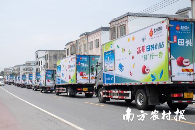 南方农村报 陶磊 拍摄