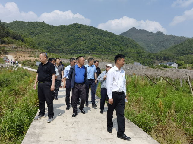 省市县瓜蒌种植专家调研坝区瓜蒌产业。