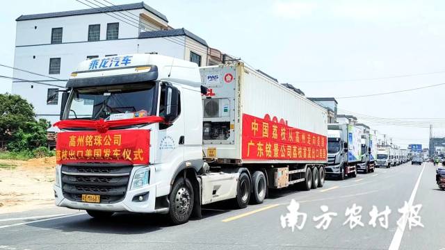 南方农村报 陶磊 拍摄