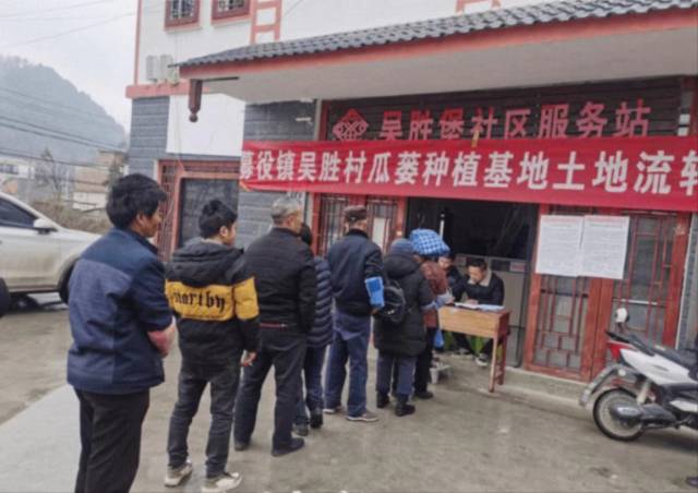 镇宁瓜蒌种植基地土地流转办理现场。