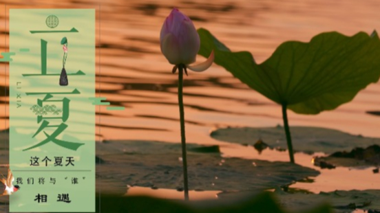 立夏丨这个夏天,你想与“谁”相遇?