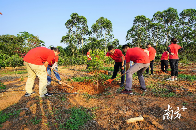 4  南方农村报 南方农村报 拍摄