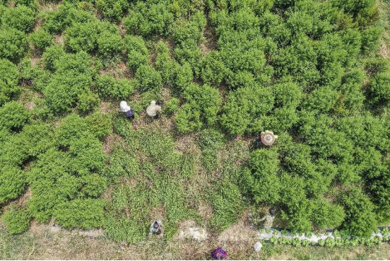 ä¸å­£åº¦åå°å¸ç¬¬ä¸äº§ä¸GDPå¢å&nbsp;å¼ï¼åä½ï¼äº¿å