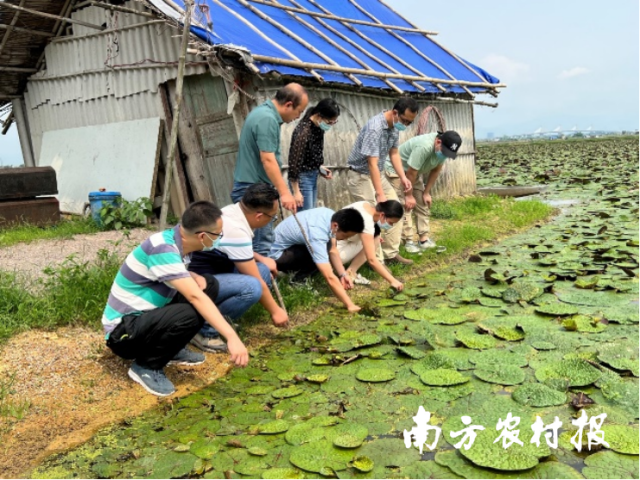 科技特派员在浦特农业基地调研。