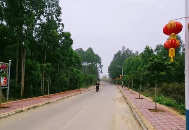 乌塘镇村道整洁。