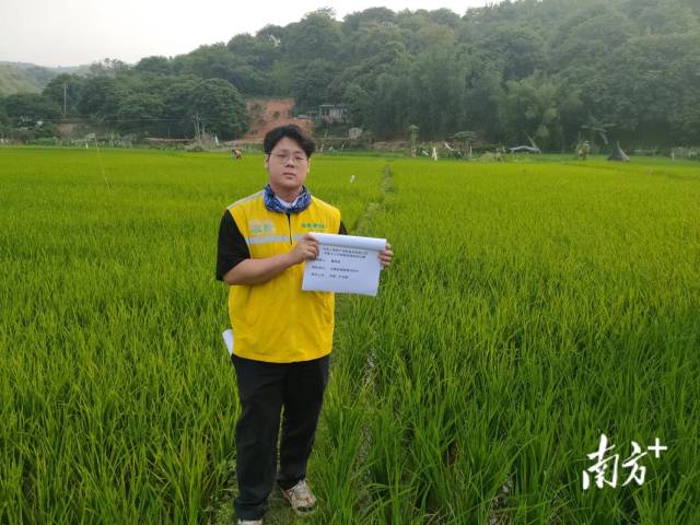以产量保险促推复耕复种，国寿财险助力端稳广东饭碗