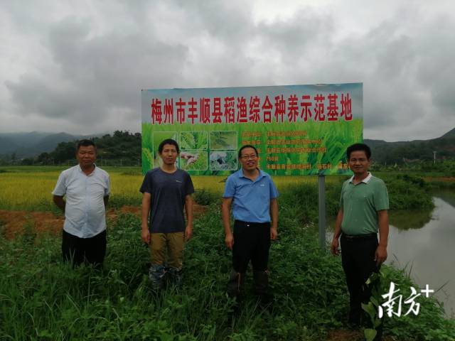 中国科学院华南植物园水稻技术专家人员指导水稻种植工作。