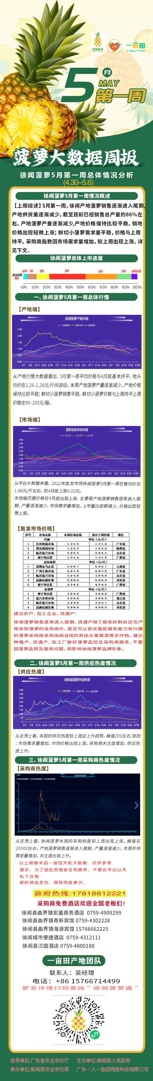 徐闻菠萝已销总产量的86%！5月第一周销地价格平稳有涨