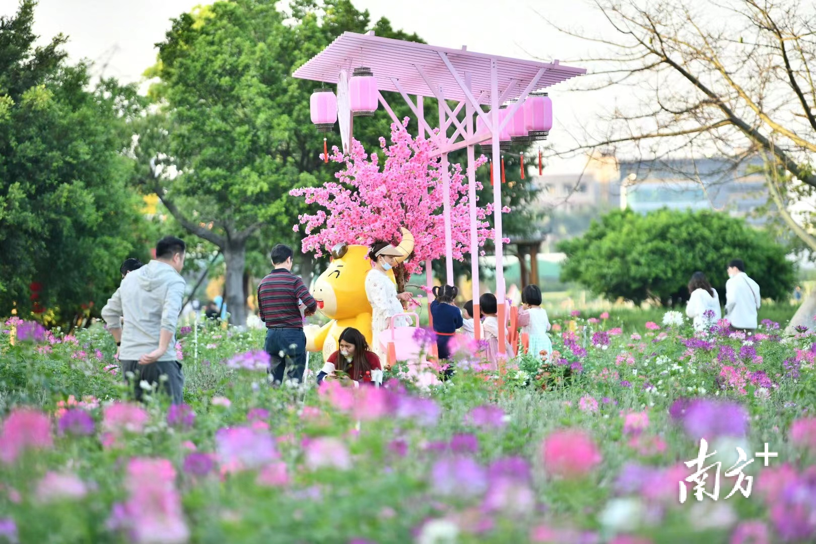 年初以来,佛山市区多部门先后出台多个促消费政策,全力营造氛围,大力开展促进消费工作取得明显成效。 南方+ 戴嘉信 拍摄