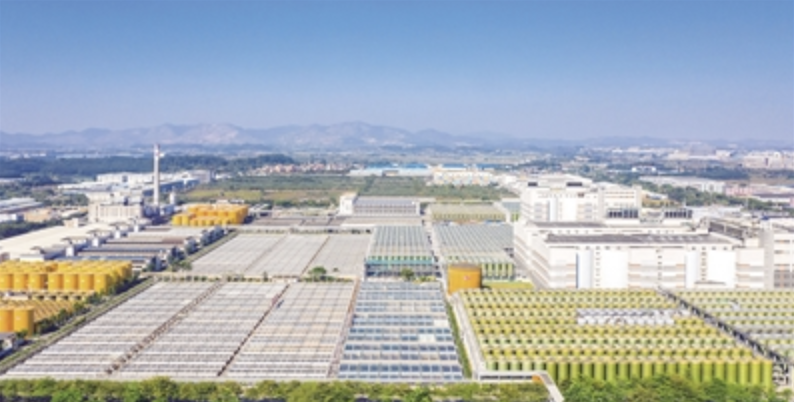 高明将加快工业高质量发展步伐。图为佛山市海天（高明）调味食品有限公司。/佛山日报记者洪海摄