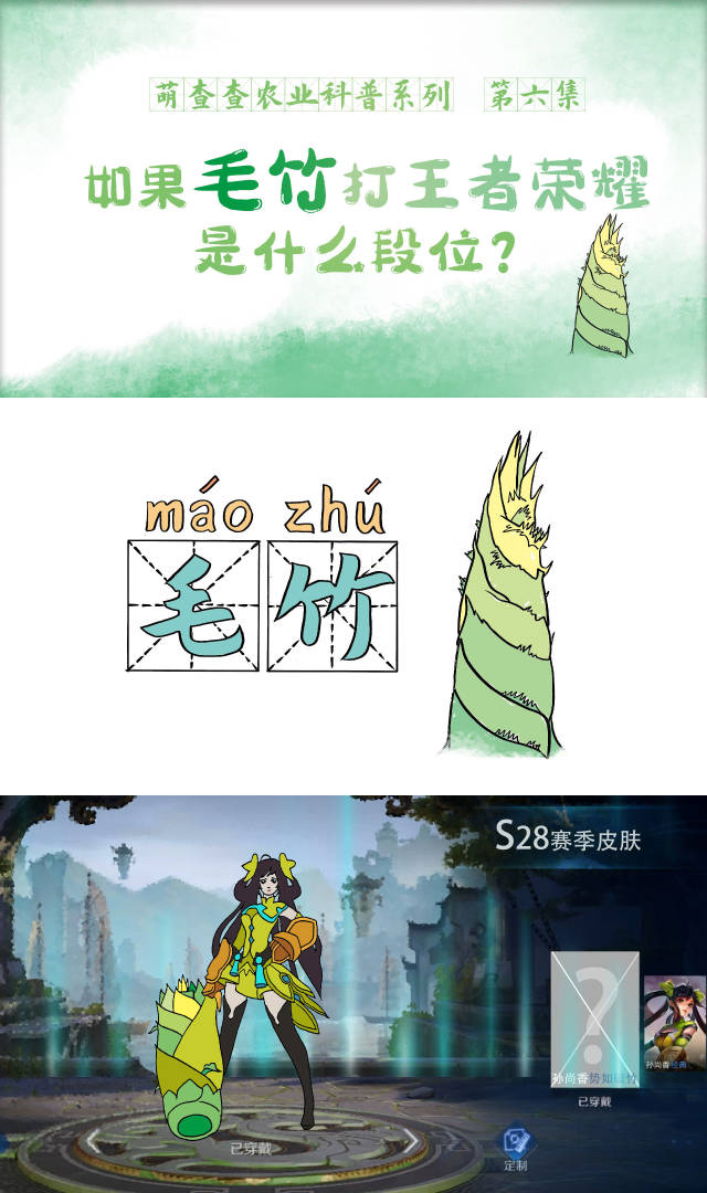 如果毛竹打王者荣耀是什么段位？｜萌查查⑥