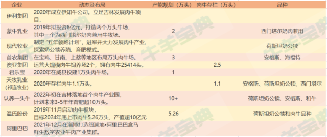 九大乳企大举进军肉牛圈！伊利、蒙牛、认养一头牛纷纷加码，是机遇还是坑？