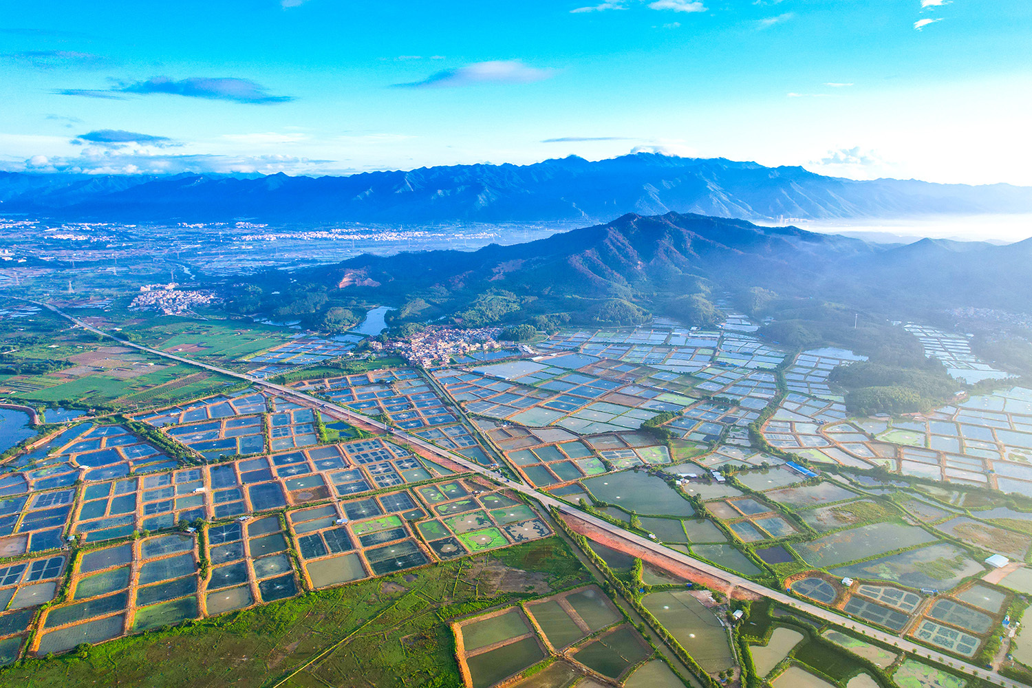  肇庆农业资源丰富，粮食、蔬菜、水果、畜禽、水产、南药等产业规模和产量位居全省前列，具备预制菜产业发展的良好基础。肖志军 摄