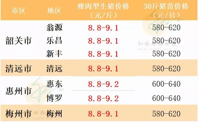 仔猪猛涨至640元，牧原趁势卖猪苗100万头