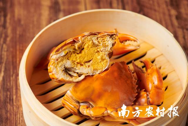 0  南方农村报 梁春桥 拍摄