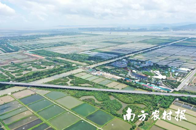 0  南方农村报 梁春桥 拍摄