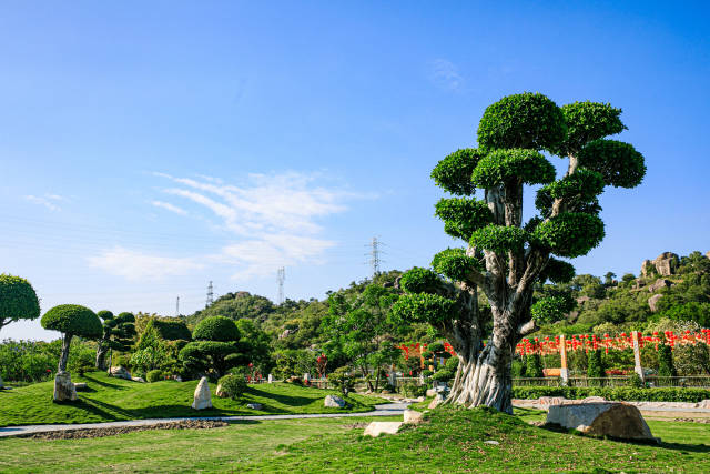 南方农村报 郑建斯 拍摄