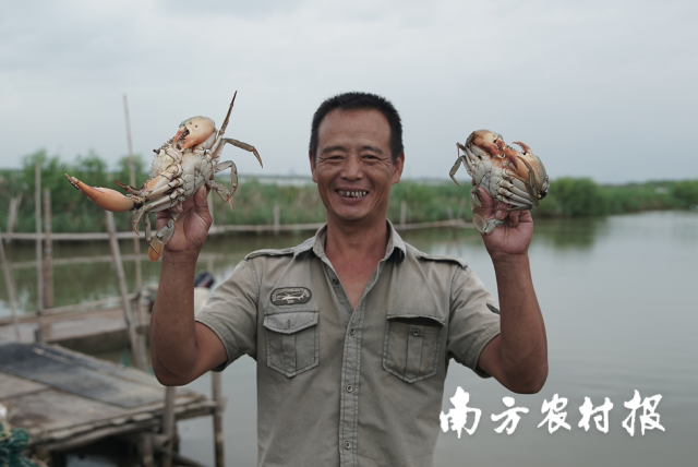 0  南方农村报 梁春桥 拍摄