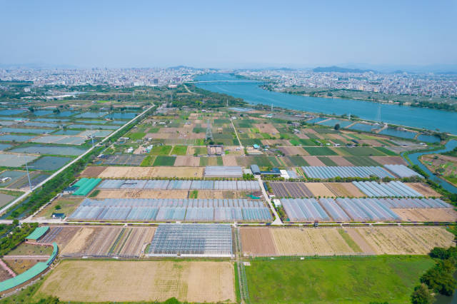 和利农蔬菜种业基地  南方农村报 谢伙荣 拍摄