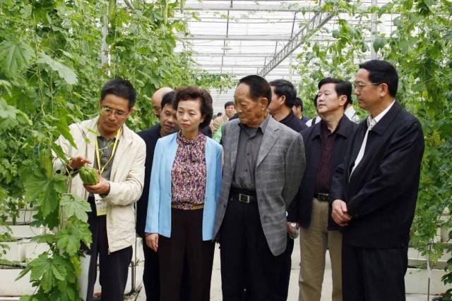 2009年11月26日，中國雜交水稻育種專家,，中國工程院院士袁隆平同志考察廣東種業(yè)博覽會,。