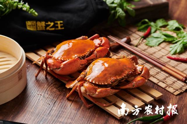 品牌的力量！南沙青蟹价格同比上涨20%，近日再获名特优新国家级品牌名片