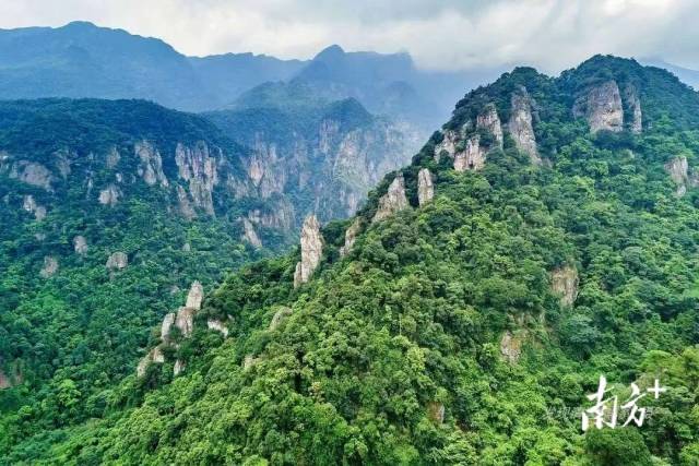 清远英德国家森林公园总规获批为广东省范围最大