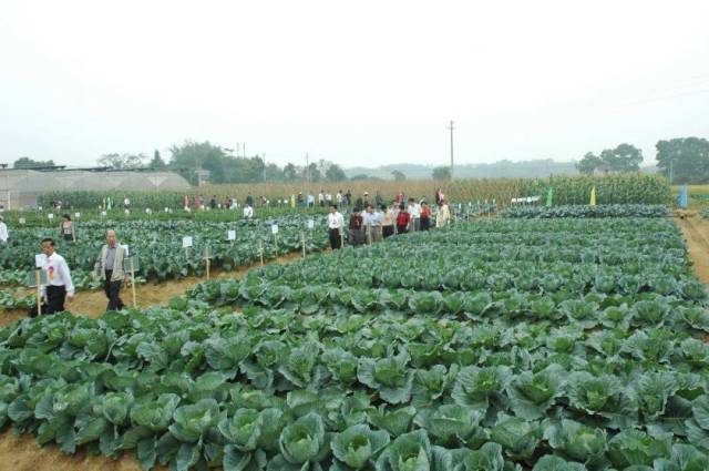 2007年,，廣東種業(yè)博覽會地展現(xiàn)場。