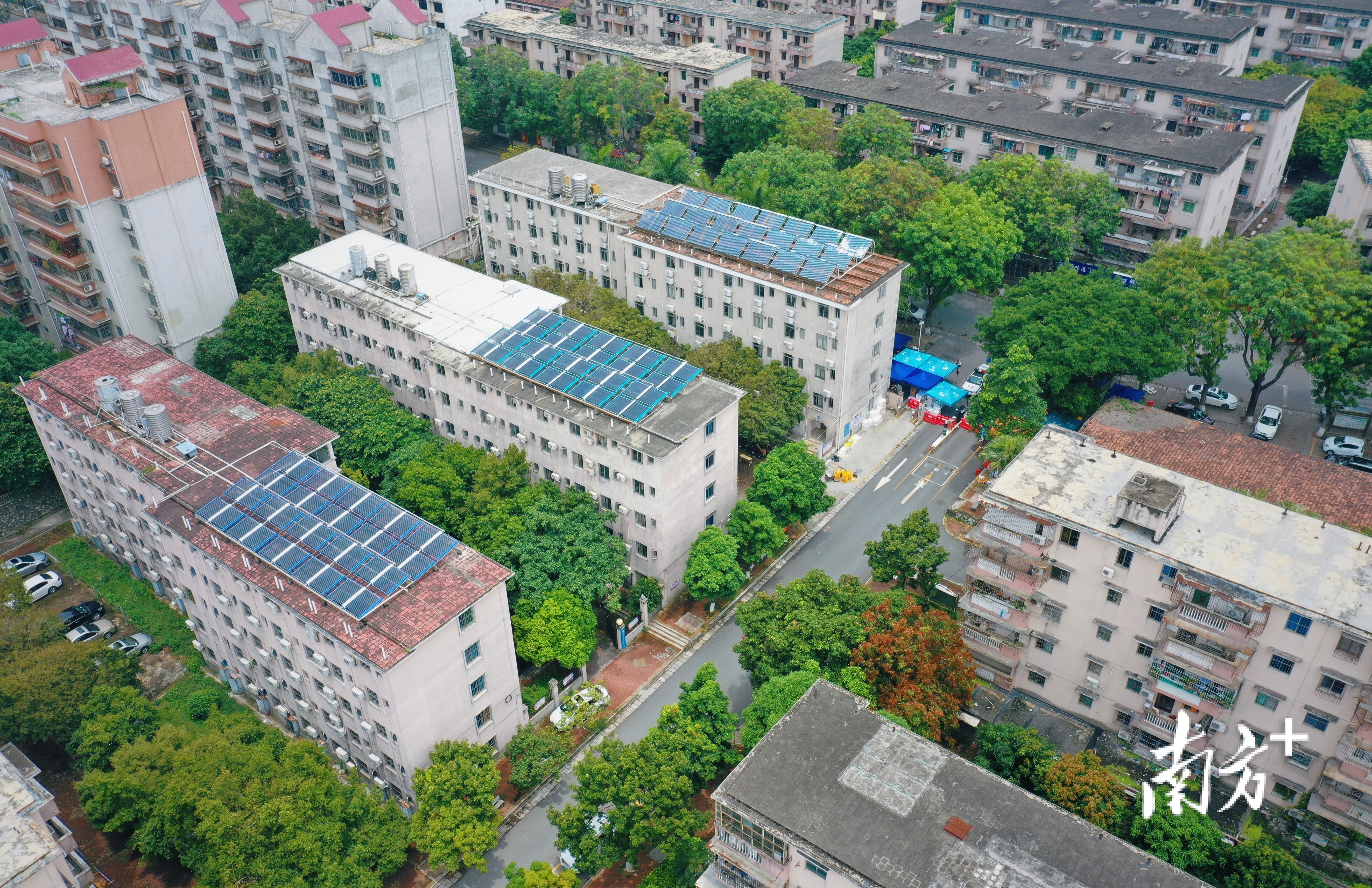 坡头区南调街道南油三区文明居南区，人员实行集中隔离或居家隔离医学观察。