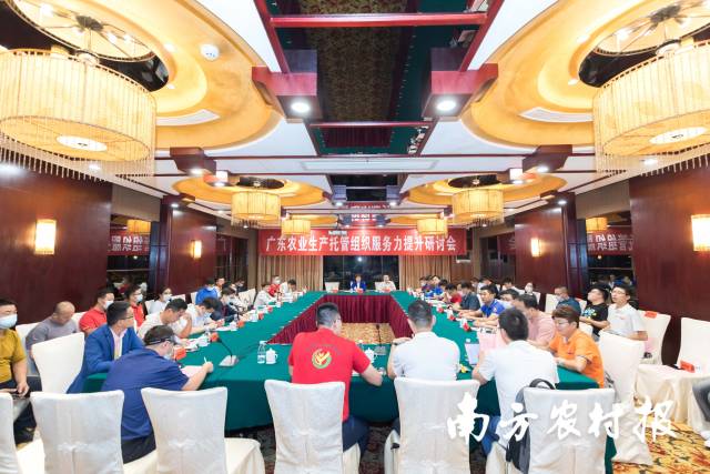 业界共话农业生产托管  呼唤产业链资源融合与赋能