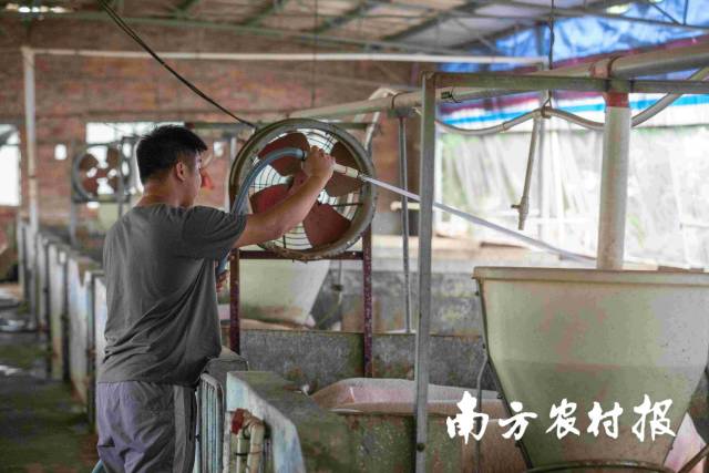 梁浩的日常工作。南方农村报 谭家富 拍摄 梁浩的日常工作。南方农村报 谭家富 拍摄