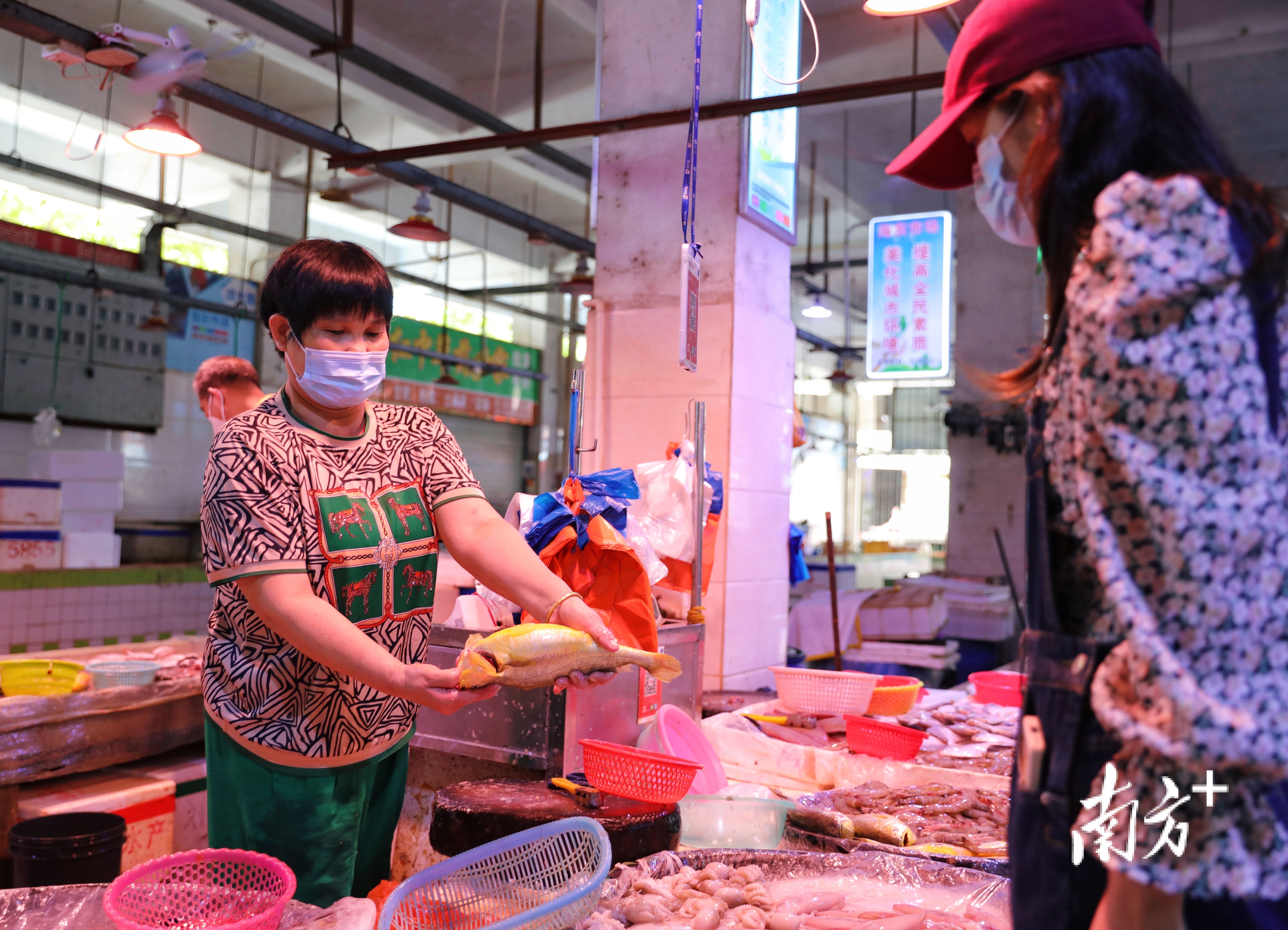 5月11日，坡头区海东市场正常营业，菜品供应充足。