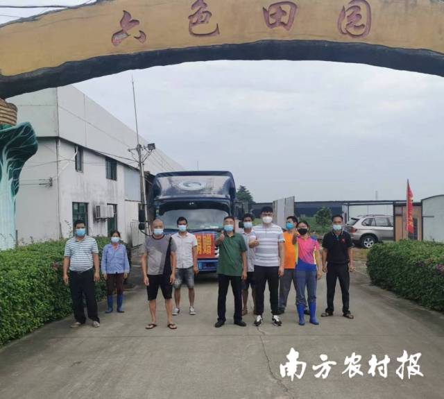 南方农村报 喻珺 拍摄