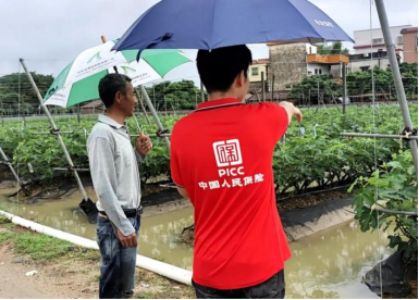 广州人保财险到村到户进行防灾防损检查