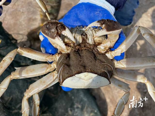 通讯员 受访者供图 供图