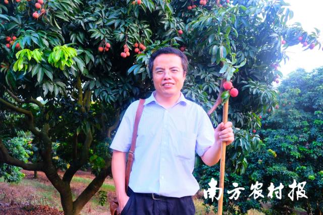 赵飞副教授在荔枝园