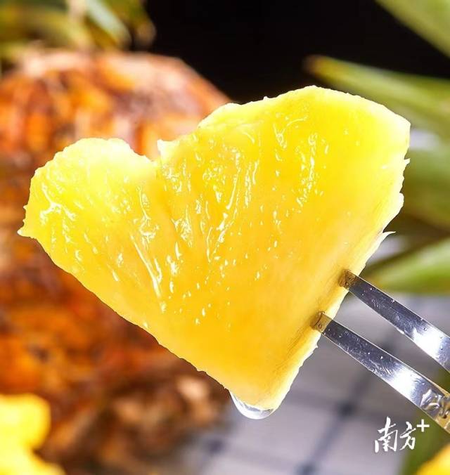 鲜切菠萝好吃又方便。