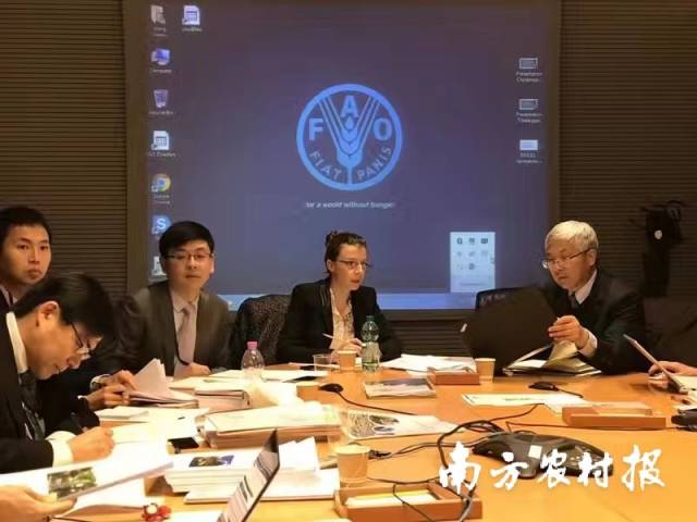 闵庆文（右一）参加联合国粮农组织会议  