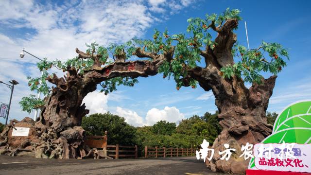 茂名高州根子镇贡园