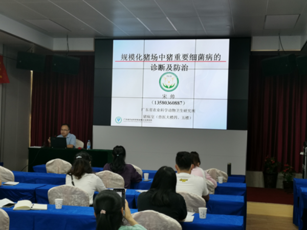 宋帅副研究员讲解“规模化猪场中猪重要细菌病的诊断及防治”。