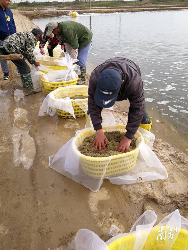 通讯员 受访者供图 供图