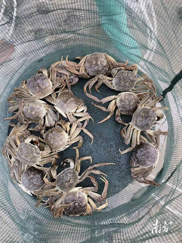 通讯员 受访者供图 供图