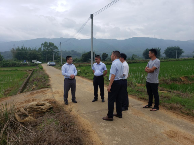 省农科院水稻所专家在周陂镇昆山村试验示范基地调研。