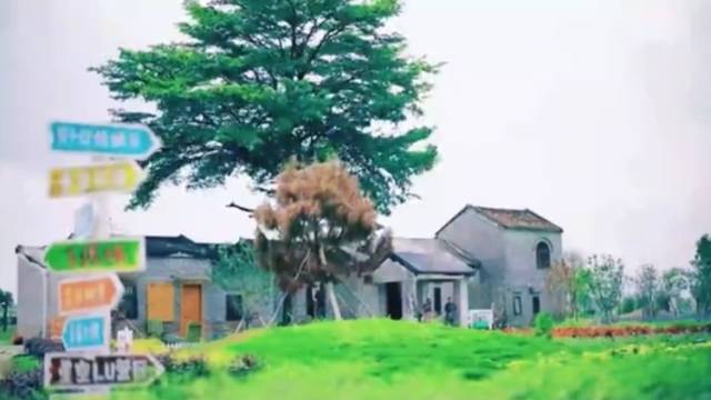 Hi 我在榄核的第2天